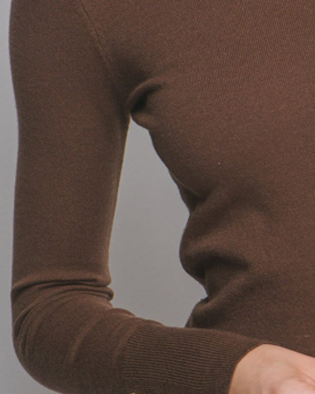Brown High Neck Long Sleeve Top