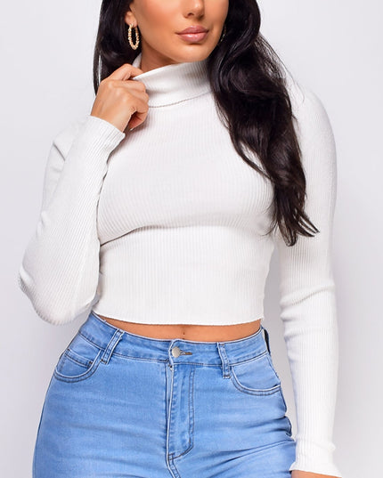 White Ribbed Turtle Neck Crop Top
