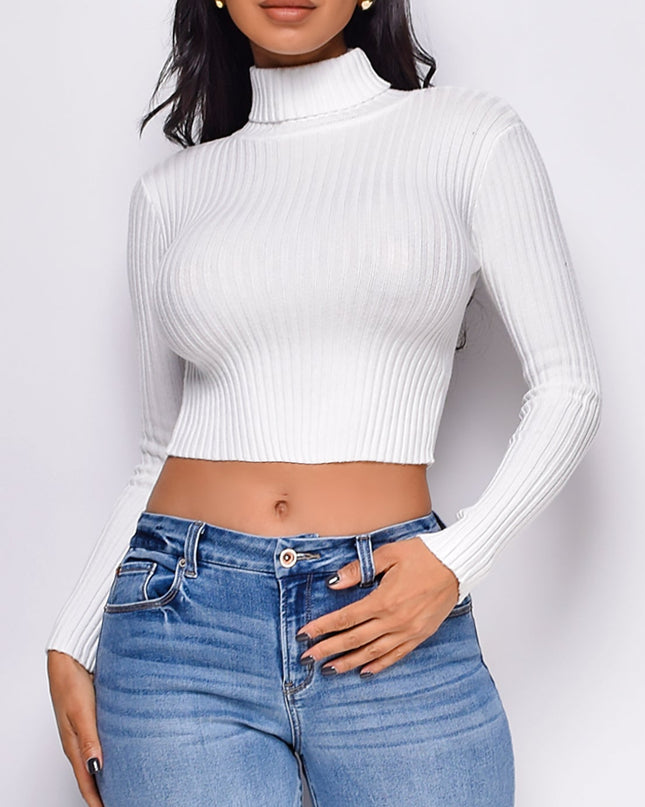 Off White Basic Turtle Neck Crop Ribbed Sweater Top
