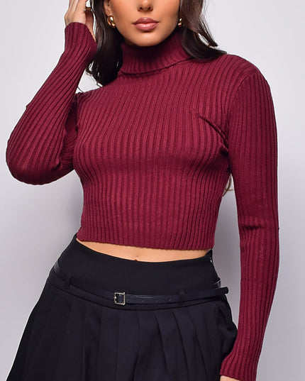 Burgundy Basic Turtle Neck Crop Ribbed Sweater Top