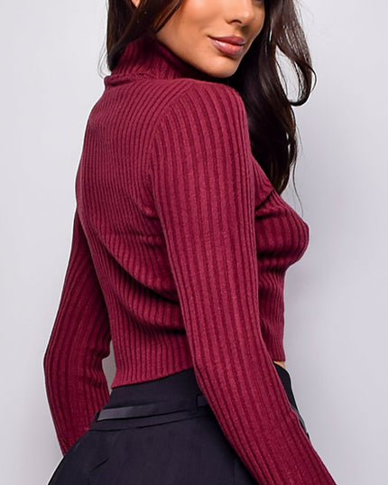 Burgundy Basic Turtle Neck Crop Ribbed Sweater Top
