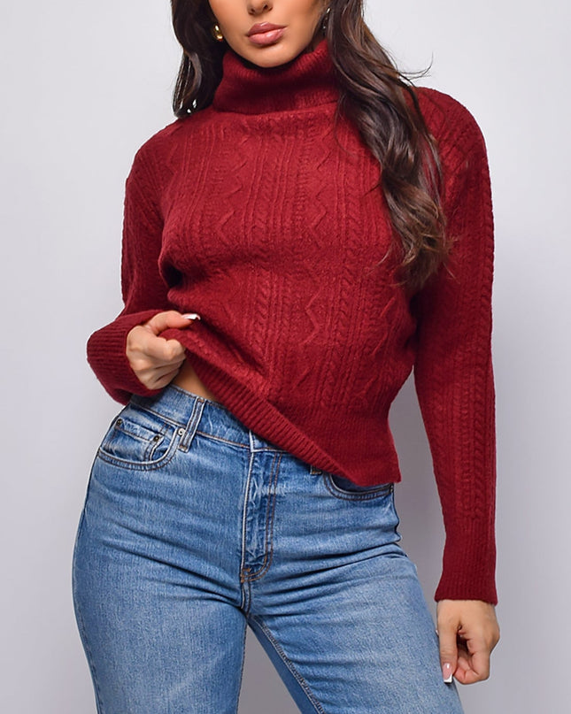 Burgundy Cable Knit Turtle Neck Sweater Top
